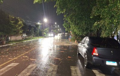 VÍDEO: Queda de árvore sobre carro durante temporal assusta moradores em Estância Velha