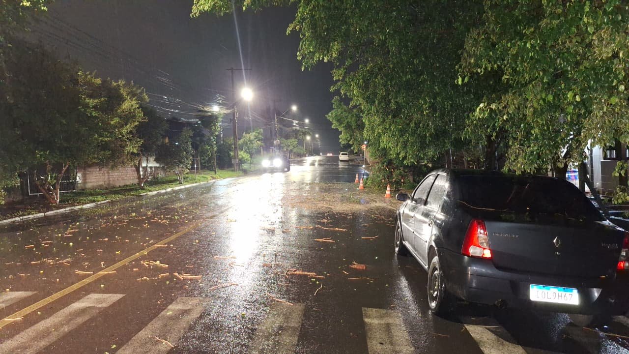 V&Iacute;DEO: Queda de &aacute;rvore sobre carro durante temporal assusta moradores em Est&acirc;ncia Velha