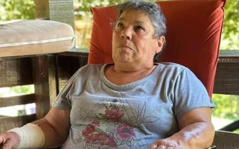 Lourdes de Fátima Lima, de 63 anos, foi presa nesta segunda-feira, em Itajaí-SC