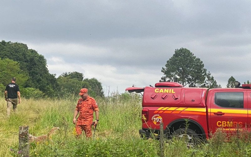Buscas pelos cadáveres, na manhã desta terça-feira (24), ocorreram na área rural de Gravataí  | abc+