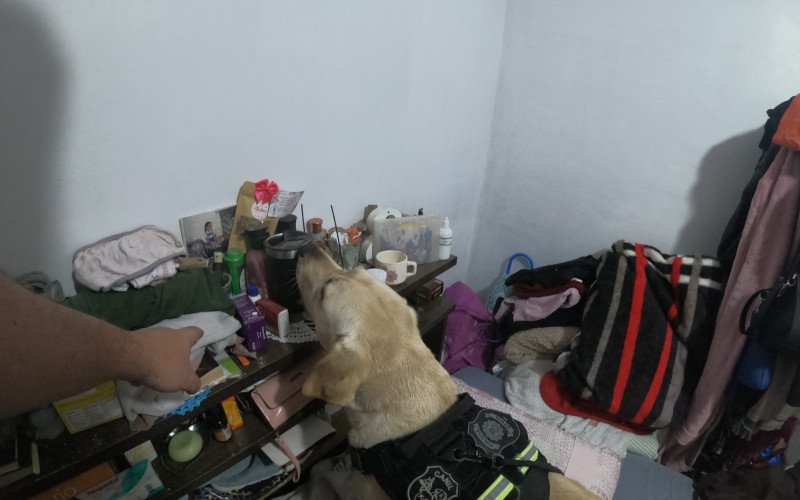 Cão farejador é usado em operação contra traficantes em conjunto habitacional em Portão | abc+