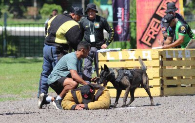 Competição de cães policiais destaca uso dos animais na proteção de mulheres