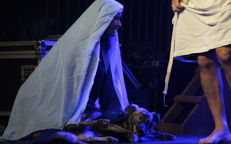 Cachorro invade encenação e defende Jesus na Paixão de Cristo em Sapiranga
