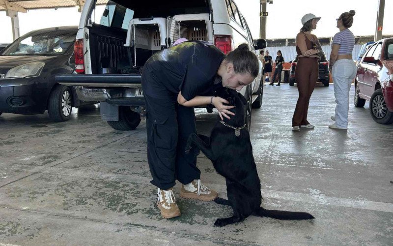 Catarina Beltrame Vieira, a mais jovem competidora no torneio de Sapiranga, com a cadela Fúria Negra, da raça pastor belga malinois black