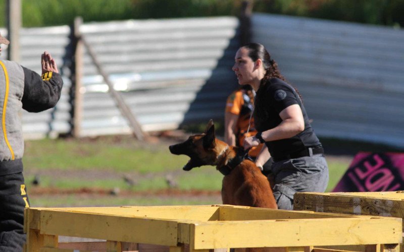 Torneio de K-9 é realizado neste final de semana em Sapiranga