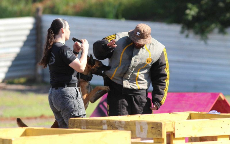 Torneio de K-9 é realizado neste final de semana em Sapiranga | abc+