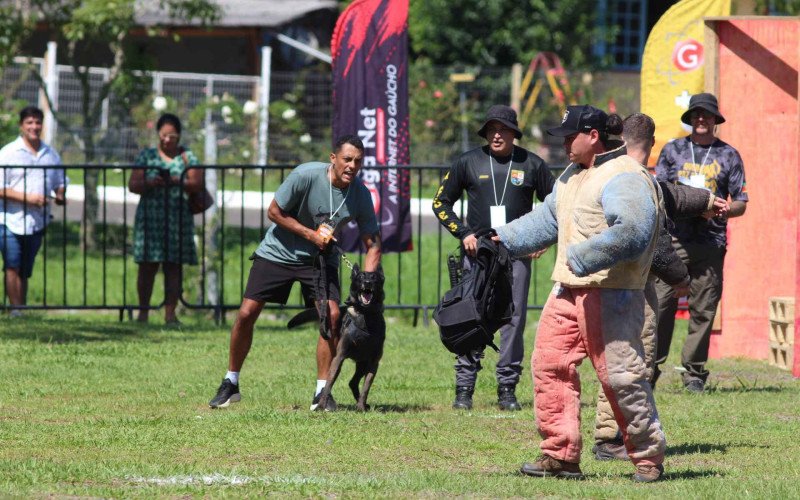Torneio de K-9 é realizado neste final de semana em Sapiranga