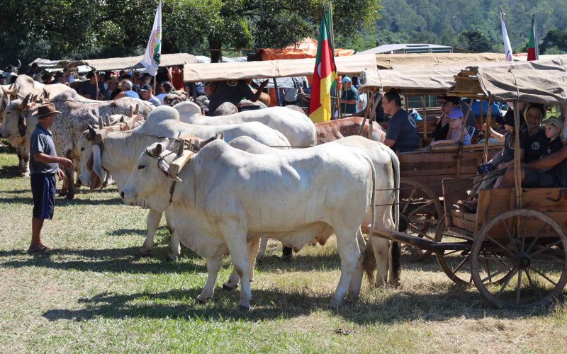 Carreteada de Lomba Grande reúne cerca de 350 carretas e 3 mil pessoas na edição de 2026