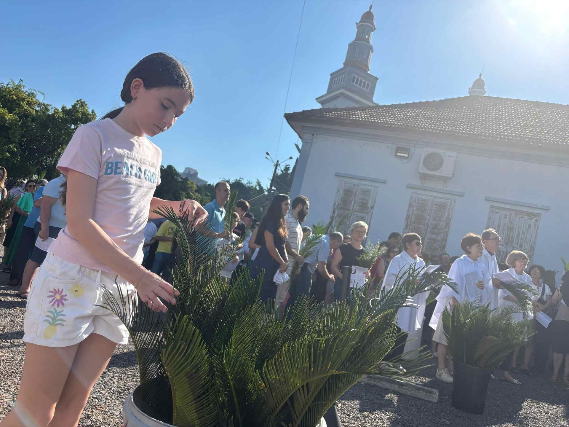 Procissão de Domingo de Ramos na Catedral são Luiz Gonzaga