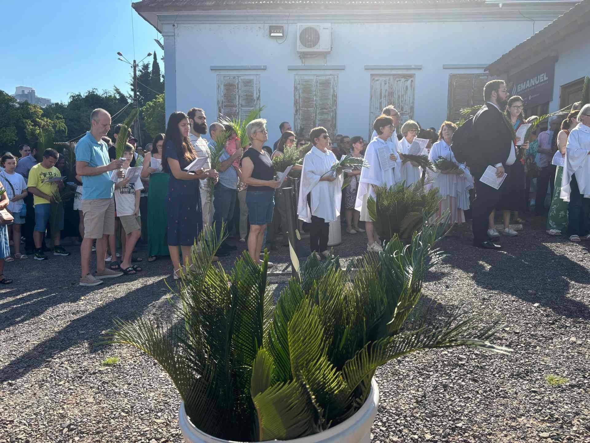Procissão de Domingo de Ramos na Catedral são Luiz Gonzaga