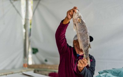 Feira do Peixe começa nesta terça-feira em cinco bairros de Canoas
