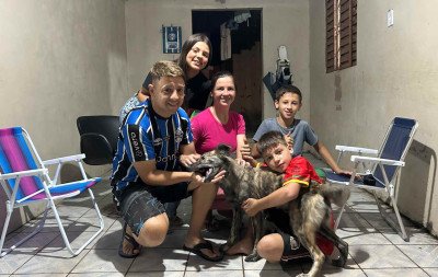 VÍDEO: Cadelinha que salvou Jesus vira celebridade; saiba o que aconteceu com ela após viralizar nas redes sociais
