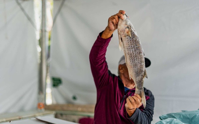 Feira do Peixe começa nesta terça-feira (31) em cinco bairros de Canoas | abc+