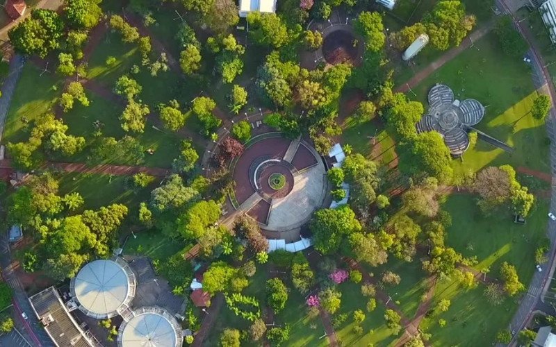 Cepas de vírus foram furtadas por Soledad Palameta Miller da Unicamp | abc+