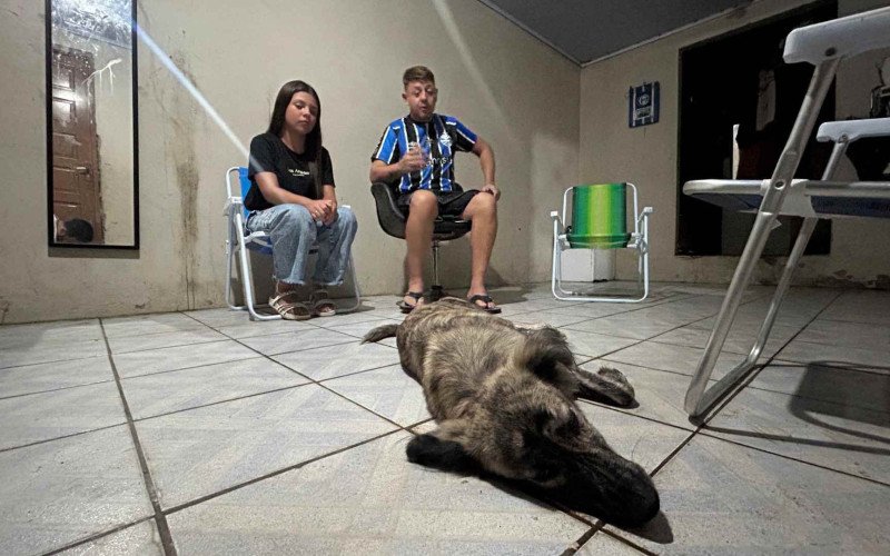 Luna, em sua nova casa | abc+