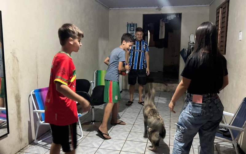 Família brinca com o animal | abc+