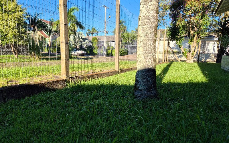 São Leopoldo impõe novas regras para conservação de imóveis abandonados e calçadas