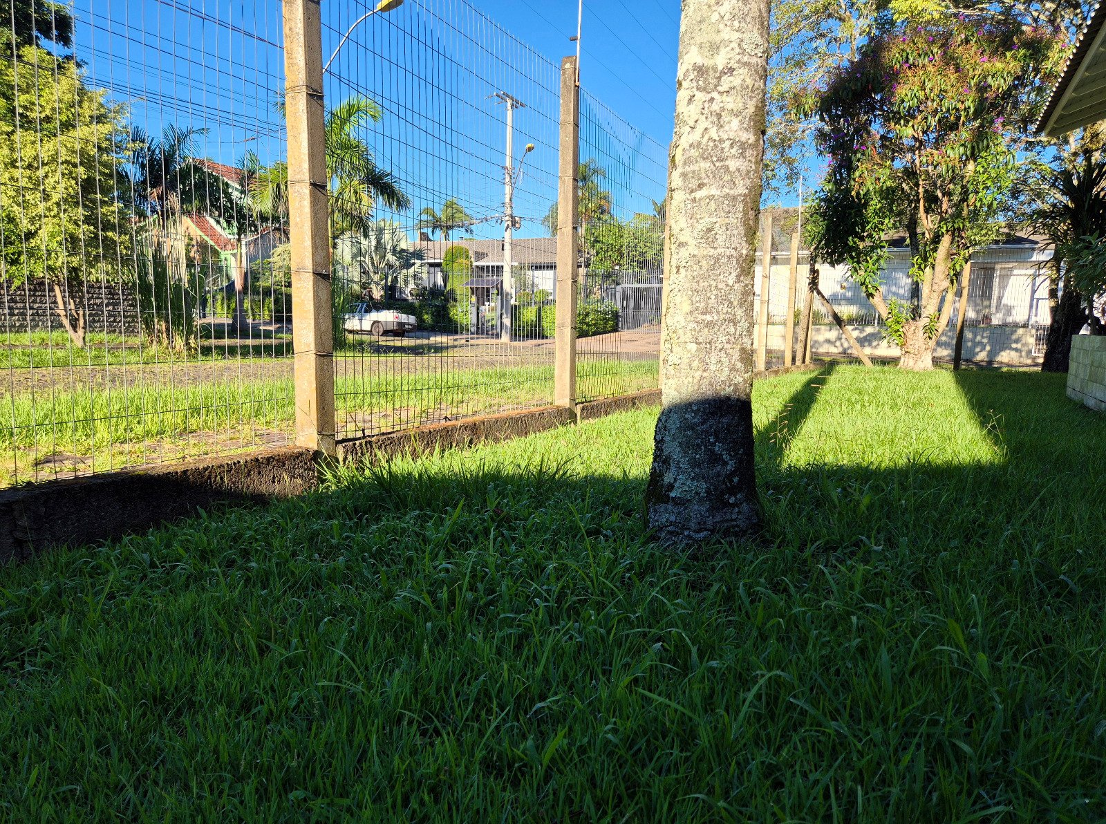 Prefeitura poder&aacute; executar servi&ccedil;os de limpeza em terrenos baldios e cobrar de propriet&aacute;rios; entenda nova lei