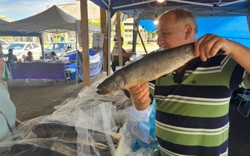 Feira do Peixe em São Leopoldo - Gerson mostrando uma opção de peixe para Marta