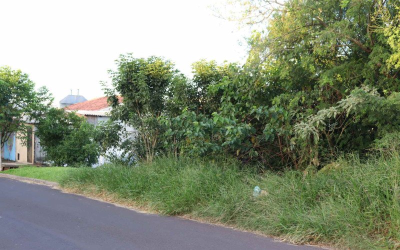 Lei de conservação de imóveis abandonados e calçadas já está em vigor