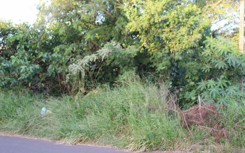 Lei de conservação de imóveis abandonados e calçadas já está em vigor