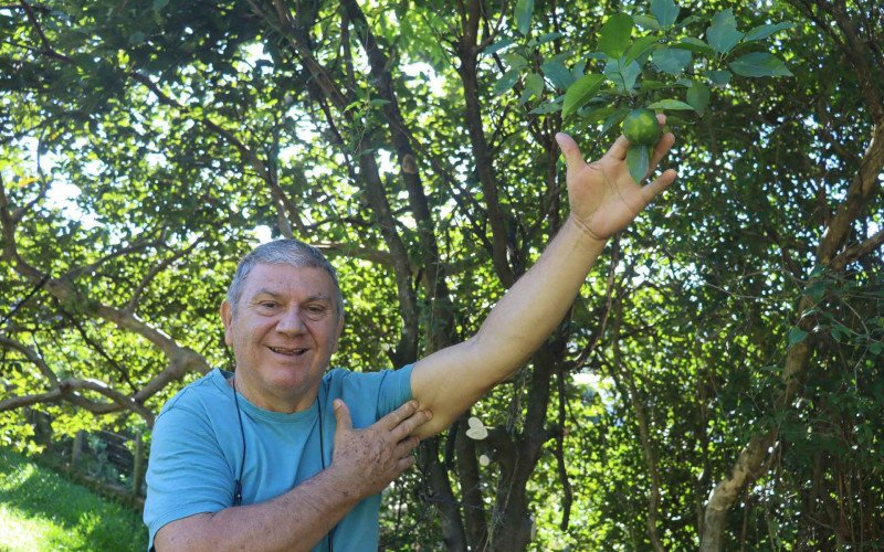 Fl&aacute;vio mostra as frutas dispon&iacute;veis no pomar. Uma delas &eacute; a laranja.