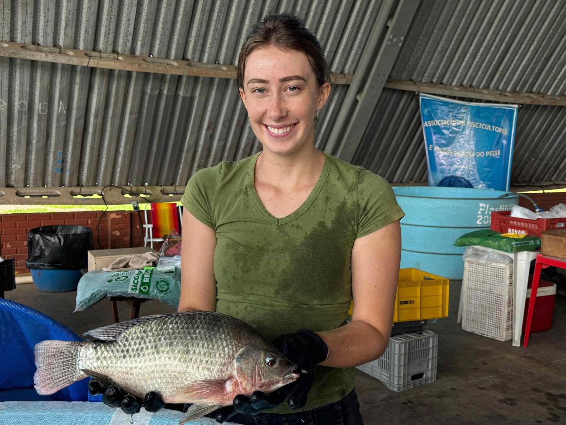 Vai comprar peixe para a Sexta-feira Santa? Confira as feiras da região e os preços por espécie
