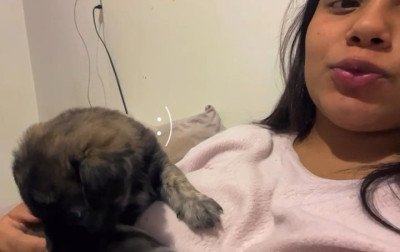 Imagens de arquivo mostram rela&ccedil;&atilde;o da cachorrinha com a fam&iacute;lia