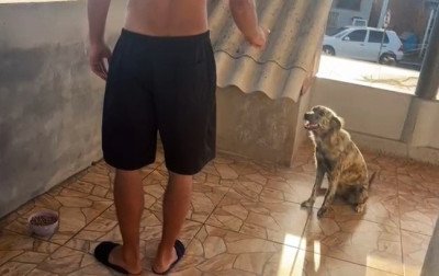 Imagens de arquivo mostram relação da cachorrinha com a família