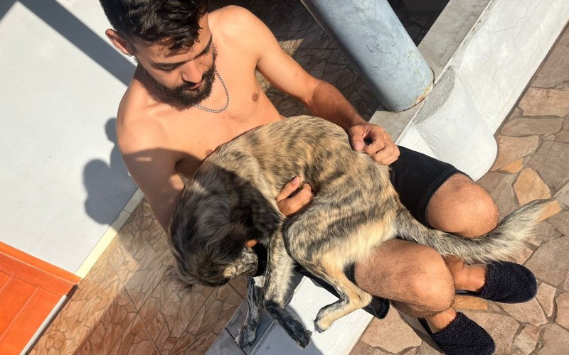 Imagens de arquivo mostram relação da cachorrinha com a família