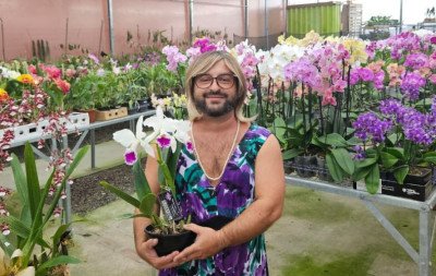 10 mitos e verdades sobre orquídeas: Dona Emma dará dicas para cuidar da planta em evento nos próximos dias