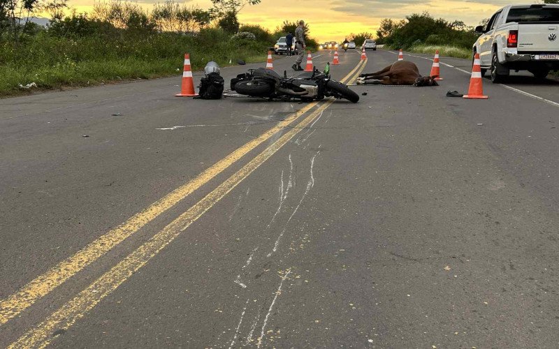 Marcas no asfalto indicam que colisão entre moto e cavalo aconteceu alguns metros antes do local onde animal caiu morto