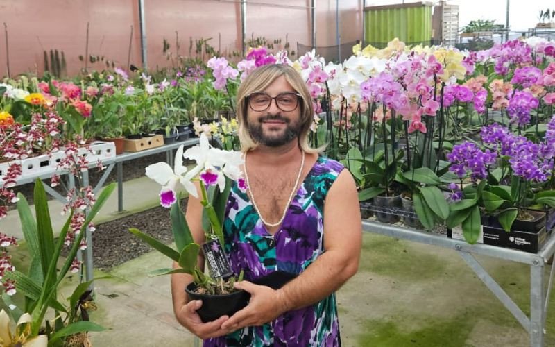 Dona Emma ajuda público a desvendar mitos sobre orquídeas em Novo Hamburgo | abc+