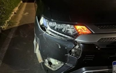 Onça-parda morre atropelada por carro do Ministério da Fazenda em Brasília