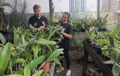 Amor que floresce: casal transforma cultivo de orquídeas em estilo de vida