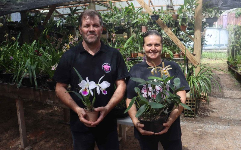 Proprietários de mais de 3 mil orquídeas, Claudia e Daniel | abc+