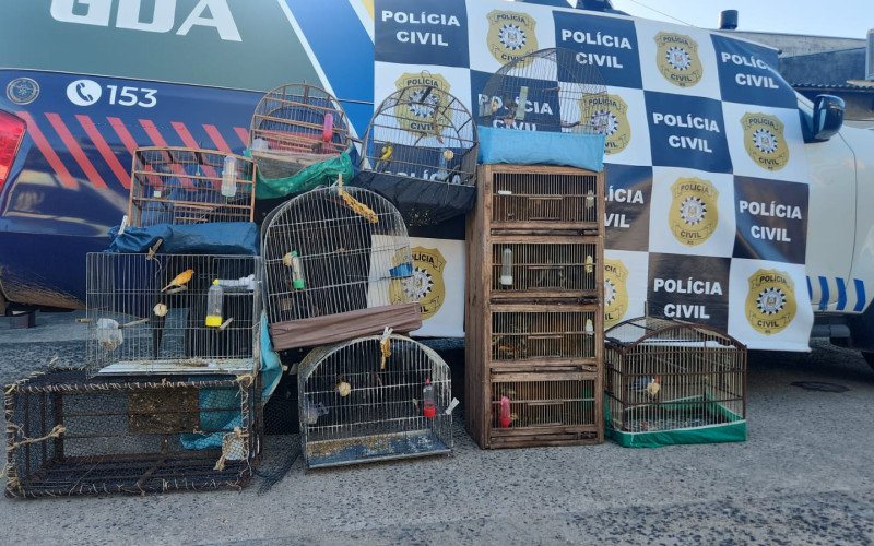 Polícia Civil resgata 13 aves silvestres em condições de maus-tratos, em São Leopoldo