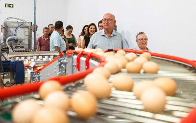 Granja da região aposta em investimento milionário para incubar mais de 11 milhões de ovos por mês; confira