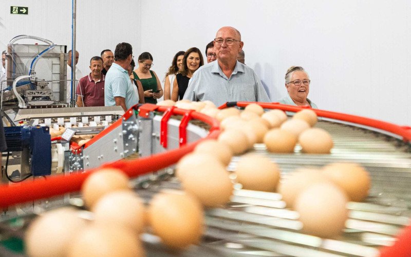 Inauguração do incubatório da Granja Pinheiros | abc+