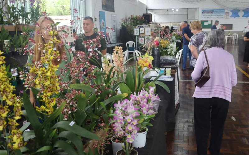 Exposição Regional de Orquídeas ocorre em Novo Hamburgo neste final de semana