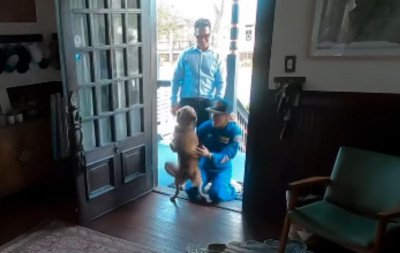 VÍDEO: Astronauta da Artemis II grava reencontro com cachorro depois de viagem à Lua