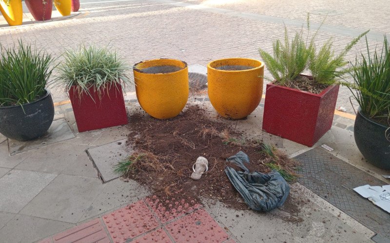 Vasos foram vandalizados e plantas furtadas na esquina das ruas Independência e João Neves da Fontoura