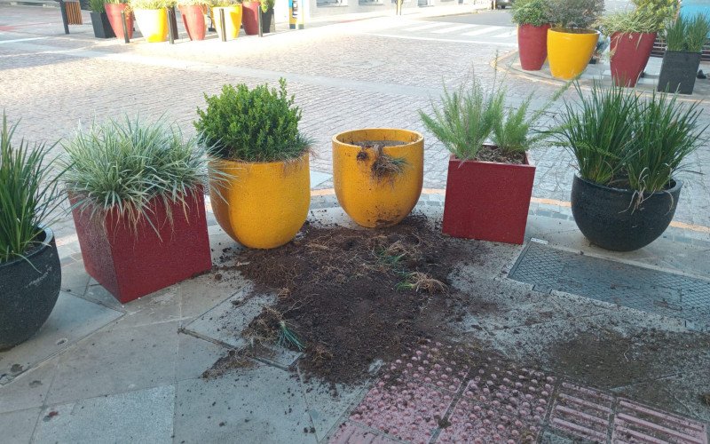 Vasos foram vandalizados e plantas furtadas na esquina das ruas Independência e João Neves da Fontoura