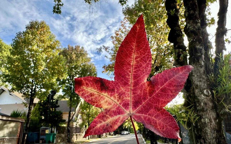 Outono em Gramado