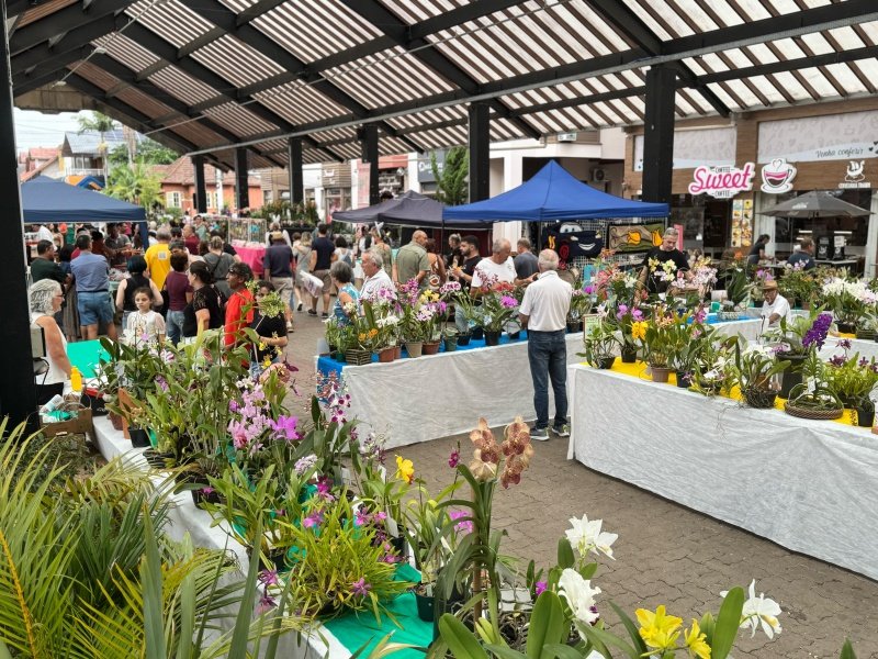 Exposição Regional de Orquídeas | abc+