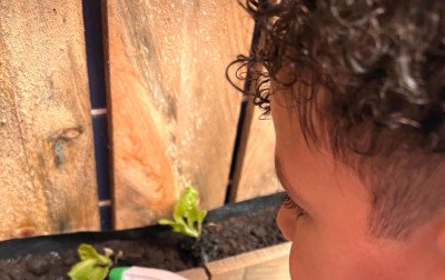 Na Emei Ipê Amarelo, a nova horta é feita por pequeninas mãos
