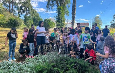 Turmas de alfabetização de escola de Gramado aprendem sobre chás e plantas medicinais; conheça projeto