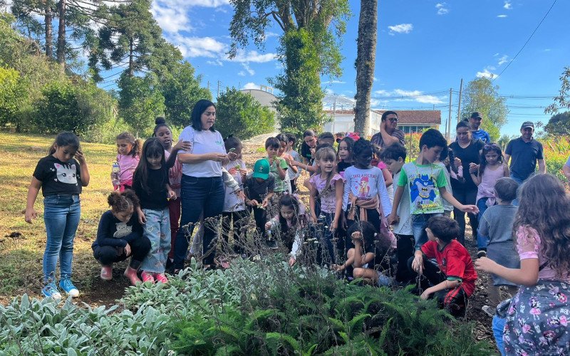 Escola Vicente Casagrande desenvolve projeto com plantas medicinais