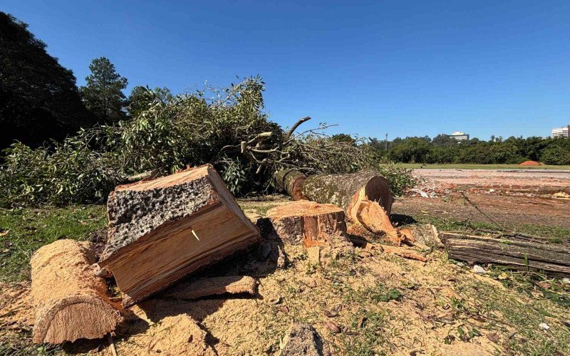 Árvores foram cortadas em área onde funcionava o campo do Botafogo no bairro Jardim Mauá | abc+
