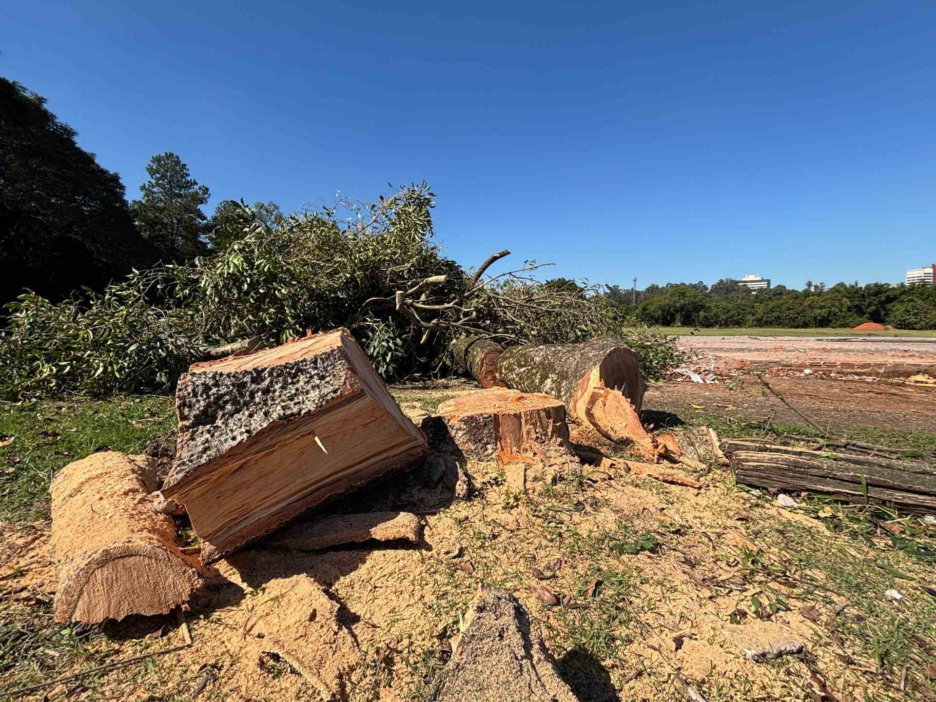 Prefeitura corta &aacute;rvores em &aacute;rea desapropriada para constru&ccedil;&atilde;o de pra&ccedil;a em Novo Hamburgo